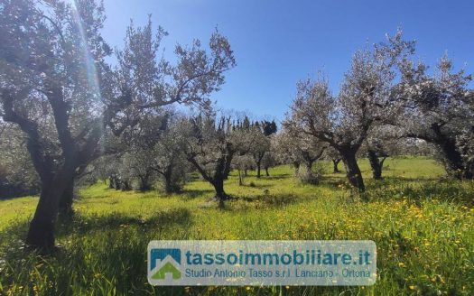 Annesso agricolo in Vendita a ORTONA