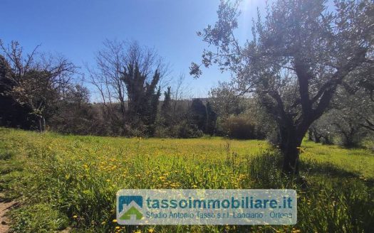 Annesso agricolo in Vendita a ORTONA