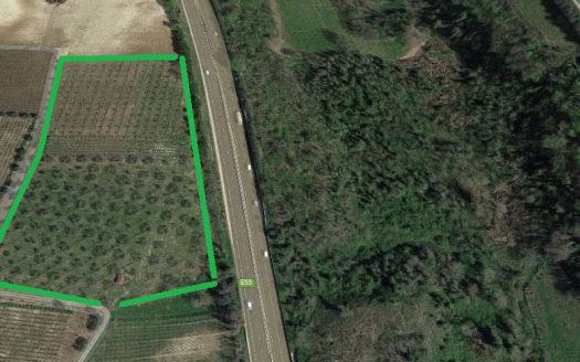 Terreno agricolo in Vendita a ORTONA