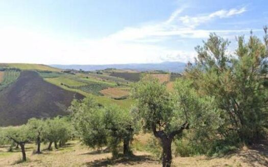 Terreno agricolo in Vendita a CASTEL FRENTANO