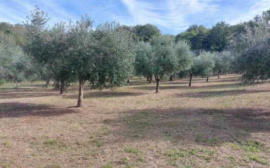 Terreno agricolo in Vendita a LANCIANO