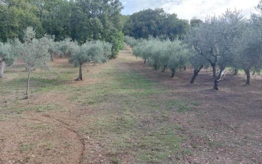 Terreno agricolo in Vendita a LANCIANO