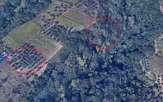 Terreno agricolo in Vendita a ORTONA