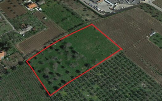 Terreno agricolo in Vendita a ORTONA