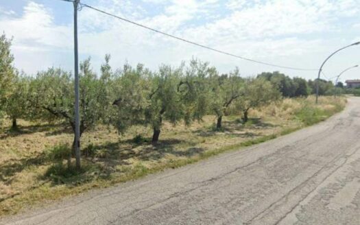 Terreno agricolo in Vendita a SAN VITO CHIETINO