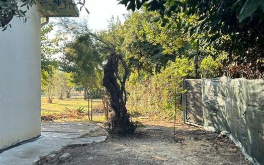 Casa semi indipendente in Affitto a SAN VITO CHIETINO