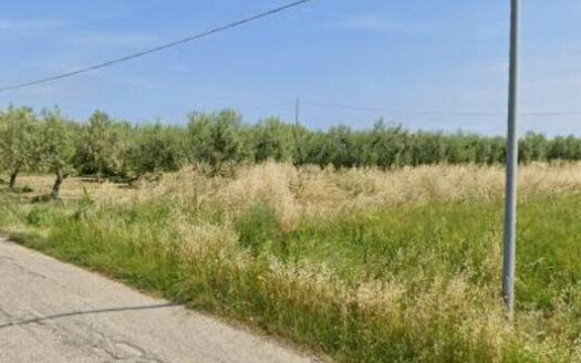 Terreno agricolo in Vendita a SAN VITO CHIETINO