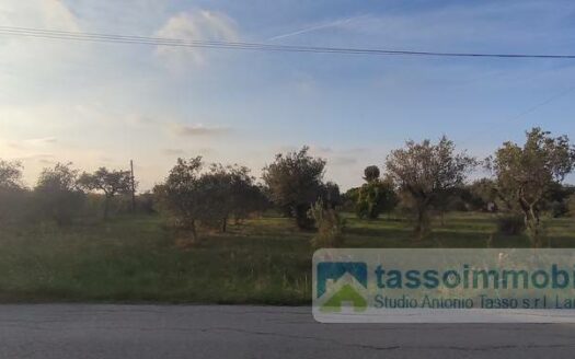 Terreno agricolo in Vendita a ORTONA