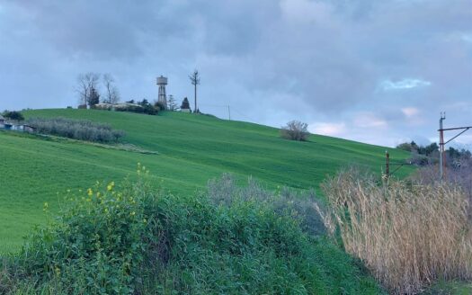 Terreno agricolo in Vendita a CASTEL FRENTANO