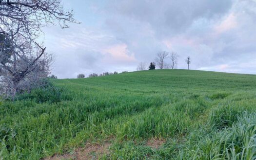 Terreno agricolo in Vendita a CASTEL FRENTANO