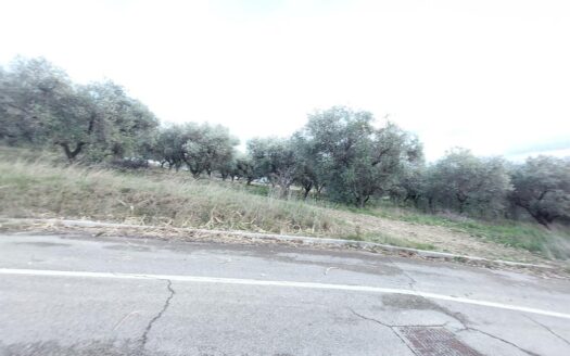 Terreno agricolo in Vendita a CASTEL FRENTANO