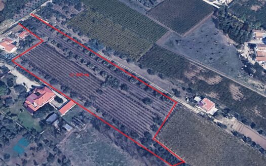 Terreno agricolo in Vendita a ORTONA