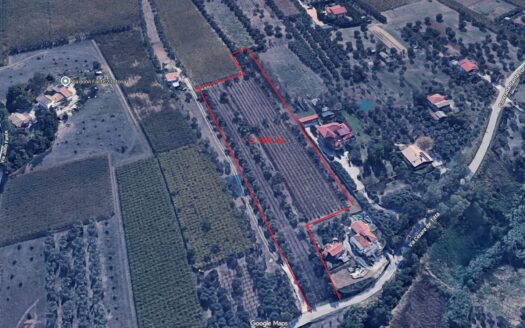 Terreno agricolo in Vendita a ORTONA