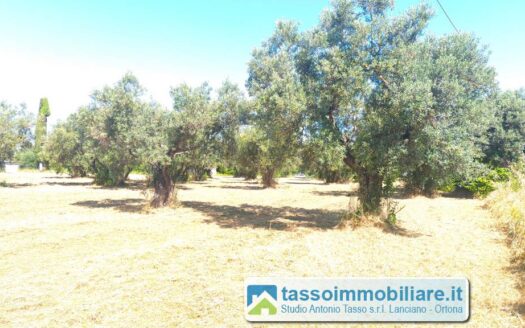 Terreno agricolo in Vendita a ORTONA
